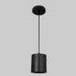1 Black Cylinder pendant light on a white background