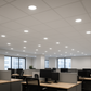 CDL LED downlights installed in office