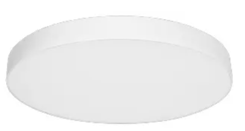 Front view of LED Trimless Downlight Round Shape
