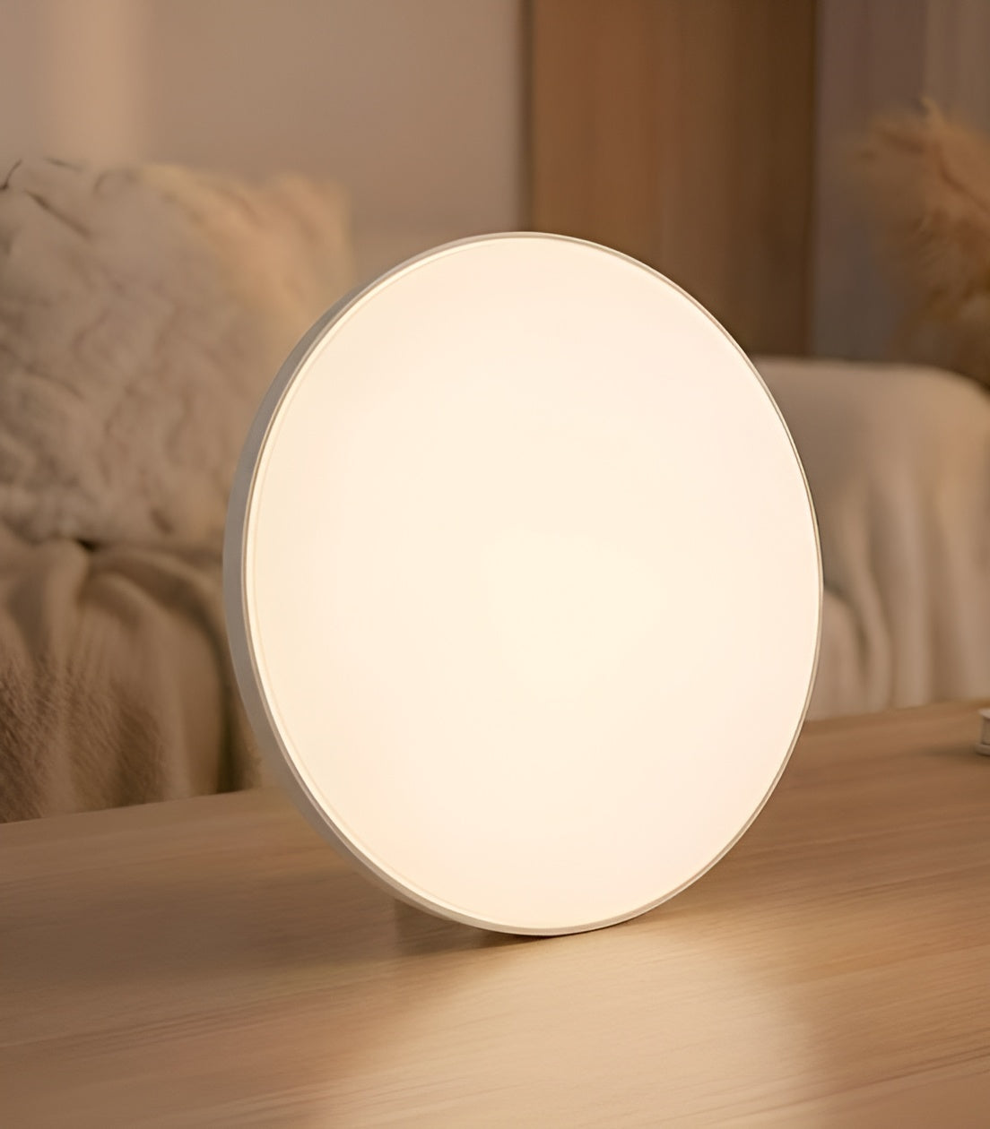 Front view of  LED Trimless Downlight Round Shape 2