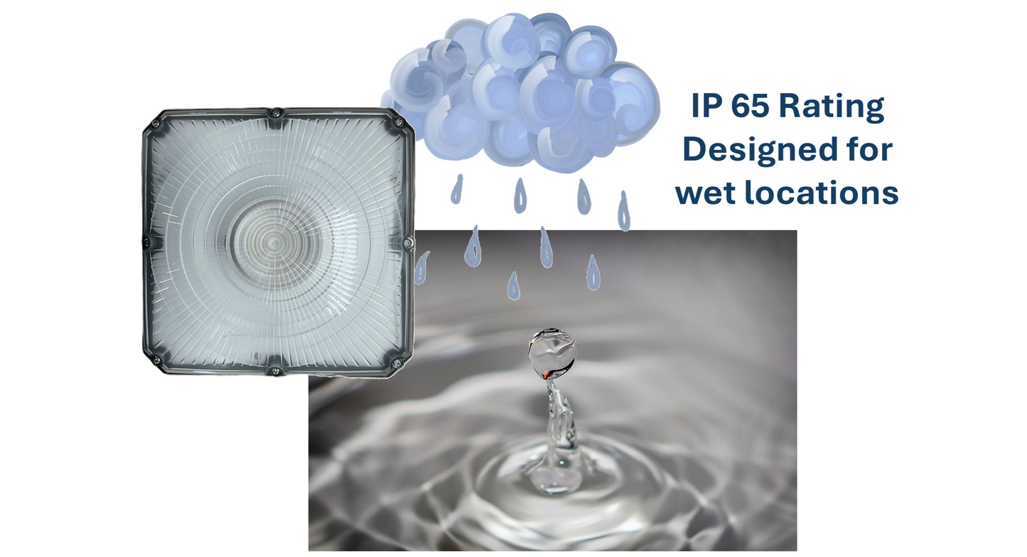 GC Series  - 1 Pack LED CANOPY LIGHT  (Ideal for Parking Structure, Storage Area, Shopping Area Walkway, Entryway, Low Roof Security)