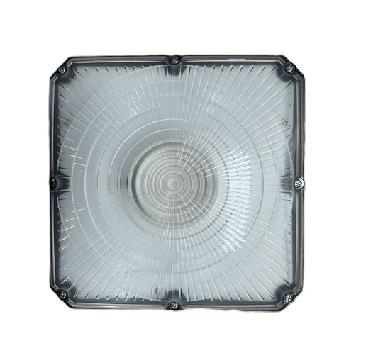 GC Series  - 1 Pack LED CANOPY LIGHT  (Ideal for Parking Structure, Storage Area, Shopping Area Walkway, Entryway, Low Roof Security)