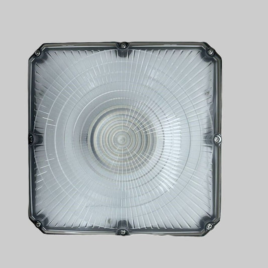 GC Series  - 1 Pack LED CANOPY LIGHT  (Ideal for Parking Structure, Storage Area, Shopping Area Walkway, Entryway, Low Roof Security)