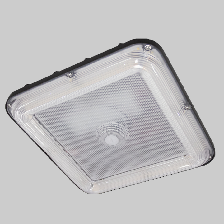 GC02 Series - 1 Pack LED CANOPY (Ideal for Parking Garage, Stairwell, Passageway, Underpass) - In Stocking Process