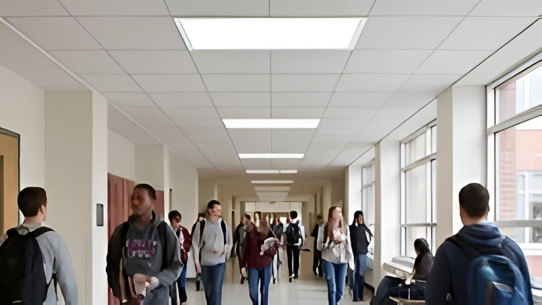 LED Back-Lit Panel Light installed in an airport or train station, providing bright, energy-efficient, glare-free illumination for commercial and transportation spaces
